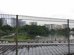 Blk 543 Jelapang Road (Bukit Panjang), HDB Executive #205082391